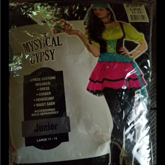 Spirit Pink and Black Halloween Costume - Picture 1 of 1